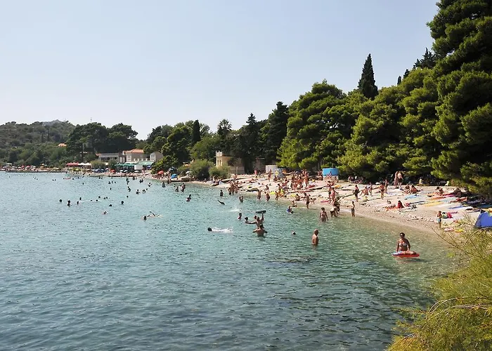 Fiorenini مْليني